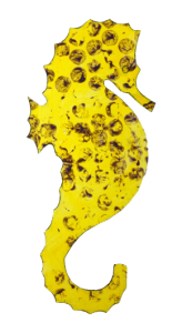 Seahorse v3